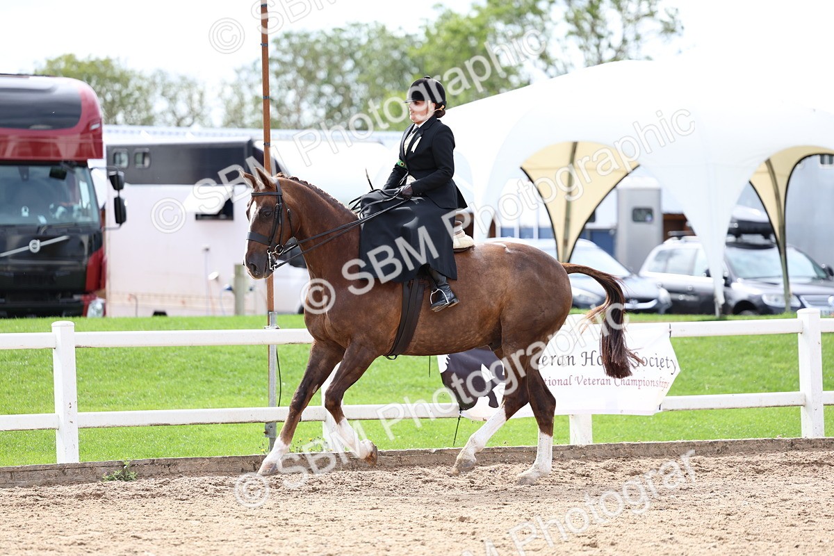SBM_03326 - Class 23 - SSA Classical (any age)