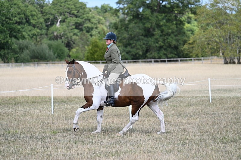 WJ7_7265 - Class 14 Ridden Coloured