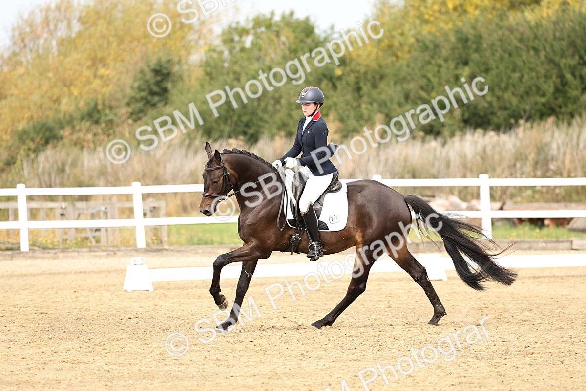 SBM_012410 - Class 2 - Prelim 5