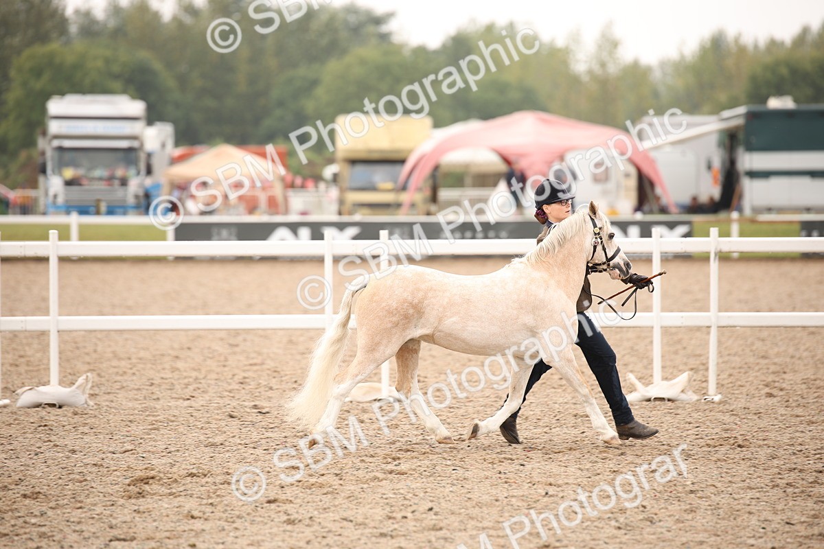 SBM_21473 - Class 706 - IH  Veteran