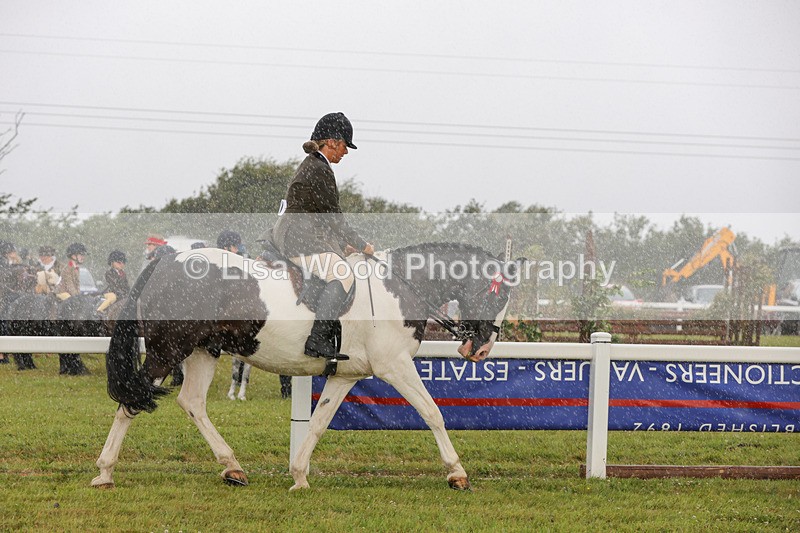 1X9A2978 - Class 26: Ridden Plaited Coloured Pony
