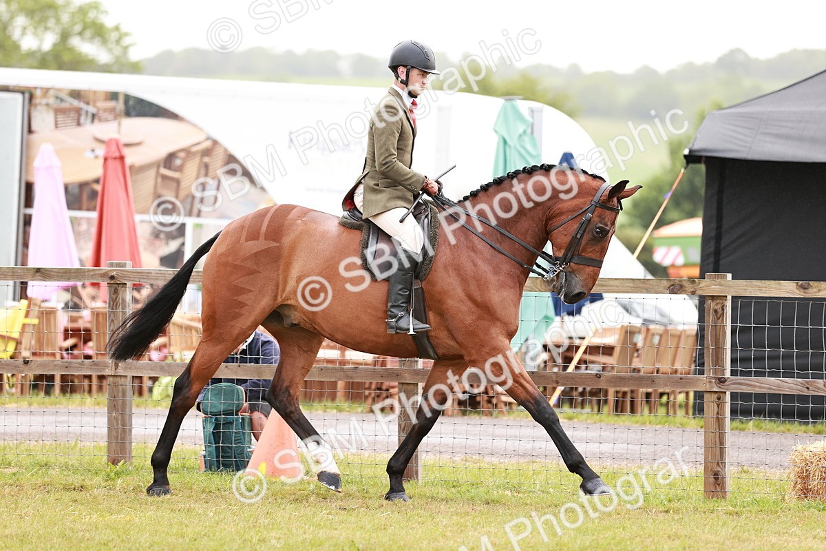 SBM_10753 - Class 81-84 - RIHS Ridden hunters Inc Ladies Hunter