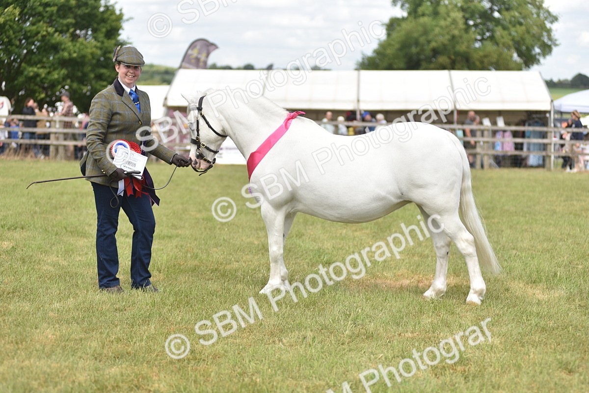 SBM_16143 - Class 117-122 - SSADL RIHS Qualifier