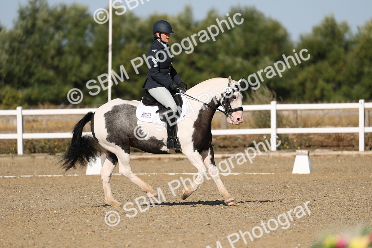 SBM_012721 - Class 1 - P5 Bronze 9.00.10.12