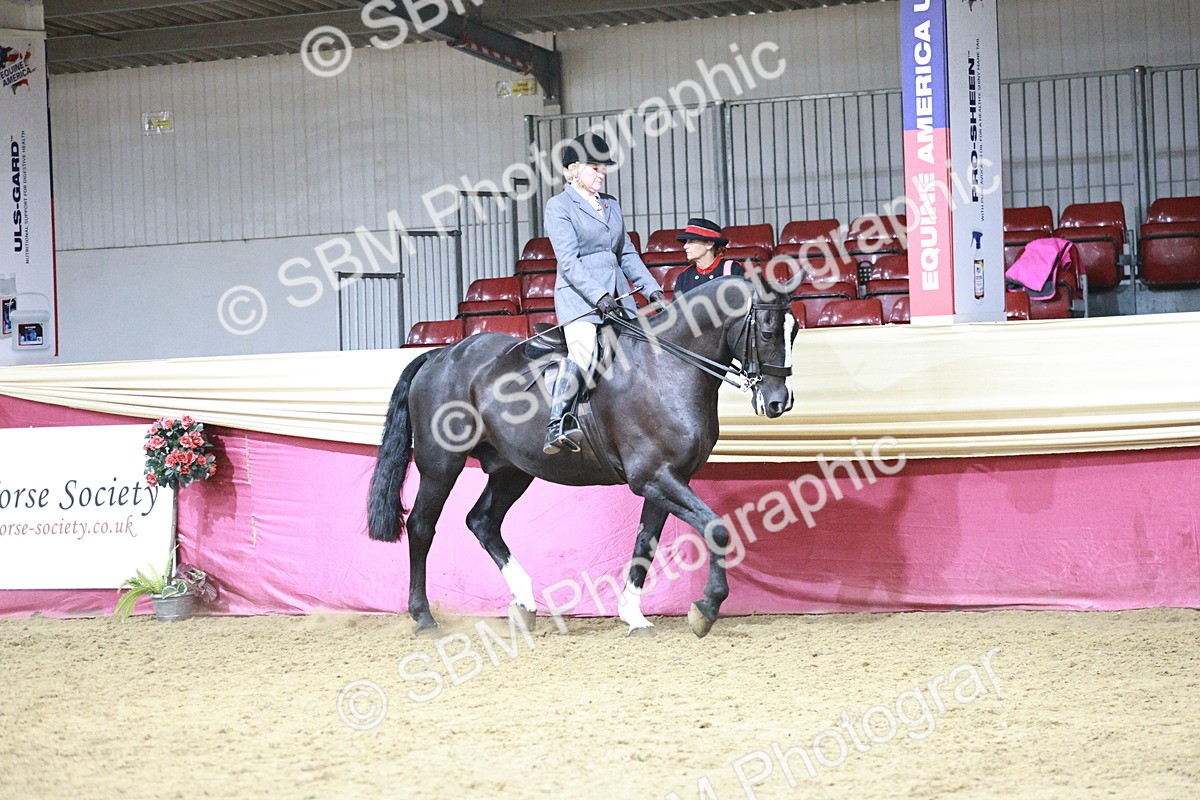 SBM_08012 - Class 11R - Regional Ridden Veteran