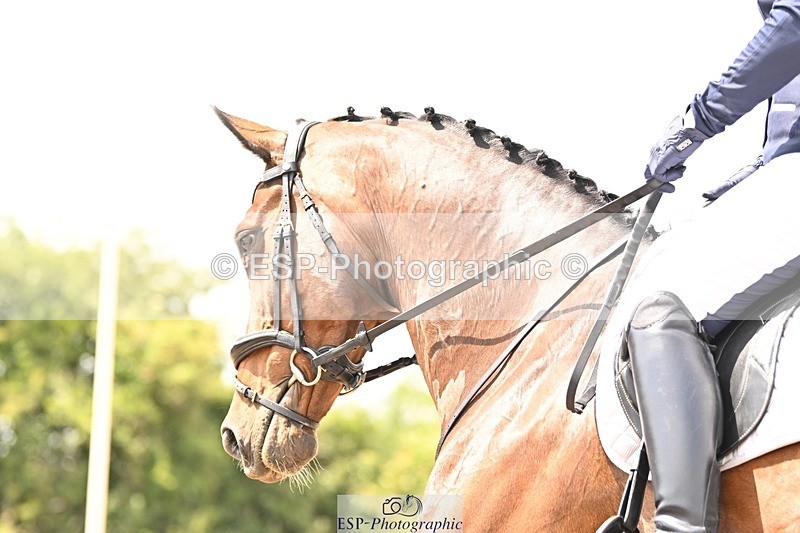 250621-143934-10687 - Cls 29 - Elementary 5, 14.10 to End