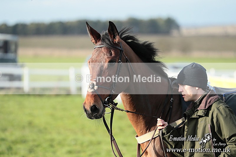 PtP 141225  1017 - New Forest Hounds PtP Larkhill 14/12/25