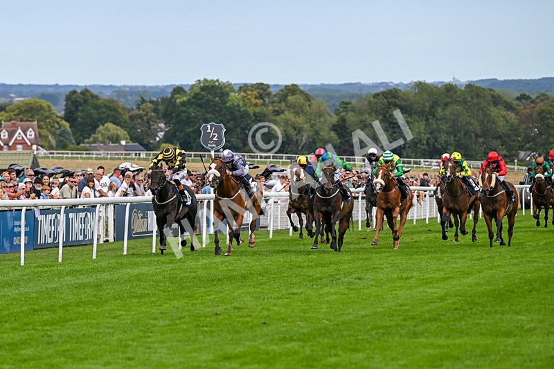 300826-Race 5-Harb-1077 - Race 5 3.55pm Constant Security Handicap
