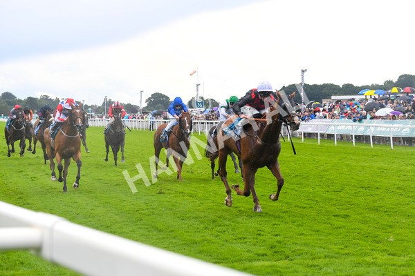 150723-Race 1-Blue For You-0085 - Race 1 2.00pm John Smith's Racing Handicap