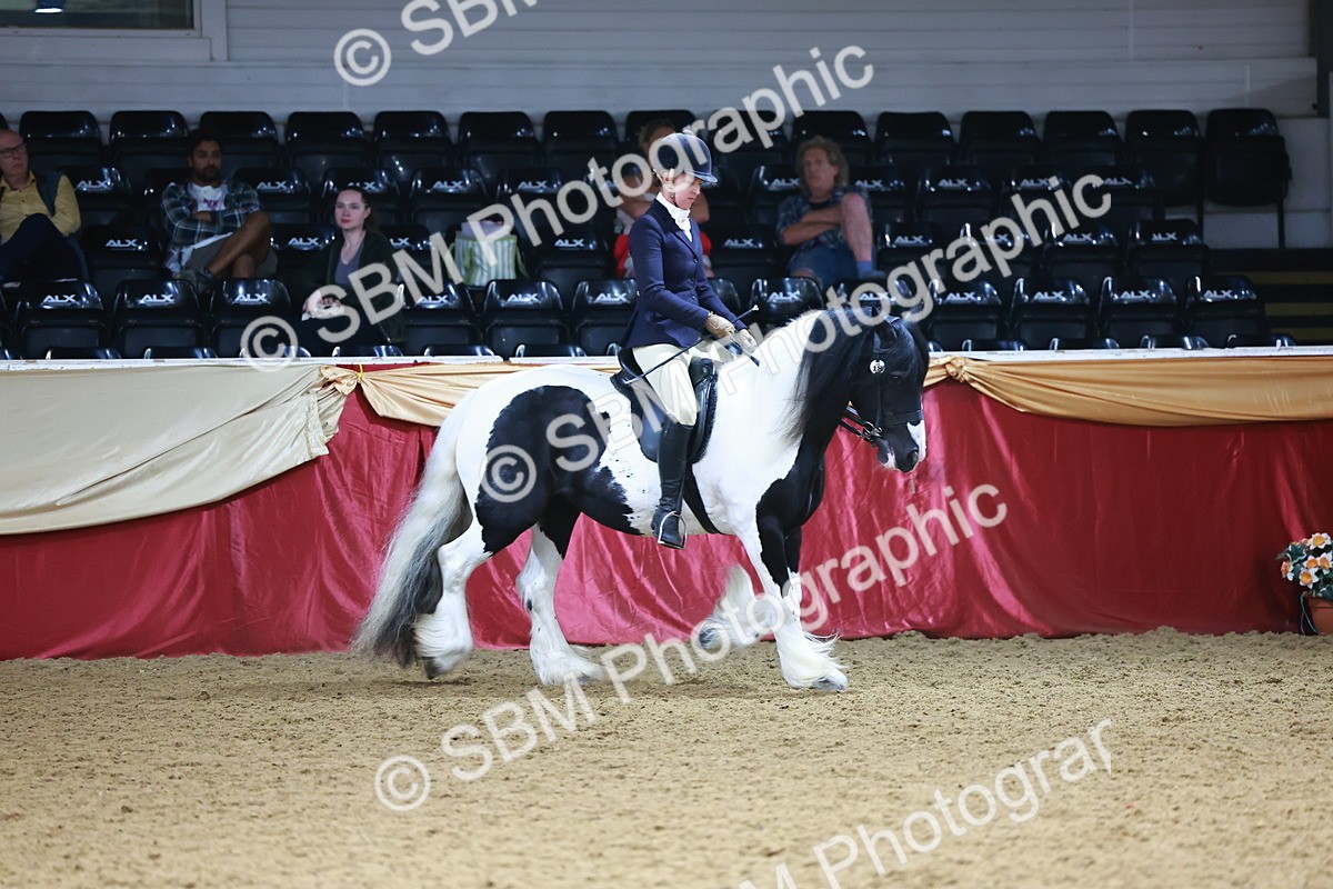 SBM_23460 - class 906 - Supreme Final - Ridden Pre Vet