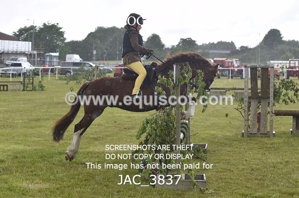 JAC_3837 - 65cm WORKING HUNTER