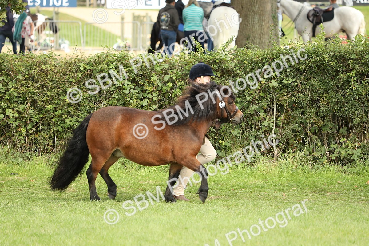 SBM_68533 - S40 - Junior Handler 9-12 Years