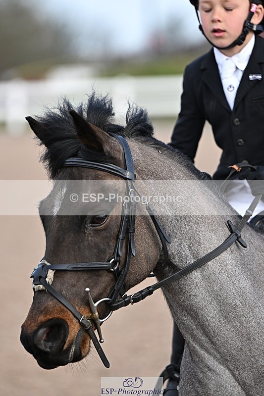 250308-094855-01003 - Cls 19-21 CR, Club and Schools 60cm