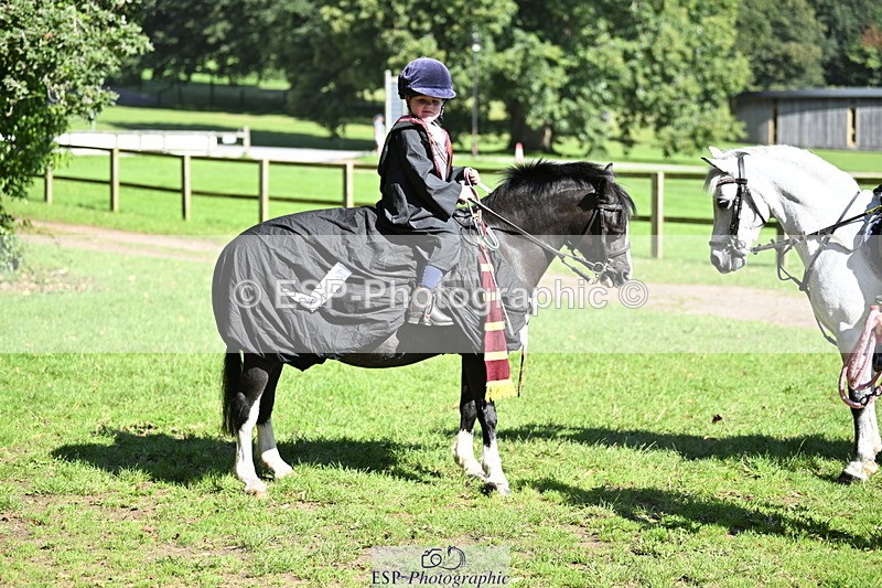 240728B-094703-00139 - Sunday Stable Shots and Fancy Dress