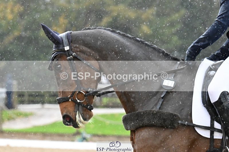 251023A-121442-02185 - B-143-Amber.Williams