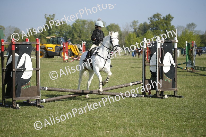 20250427-0256 - Class 12 - Rookie Jumping 40cm