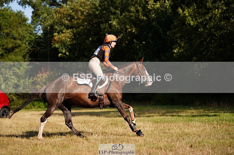 250803A-180308-18878 - R-821-Josephine.Grey-GEMMASTON.ALL.THAT.GLITTERS