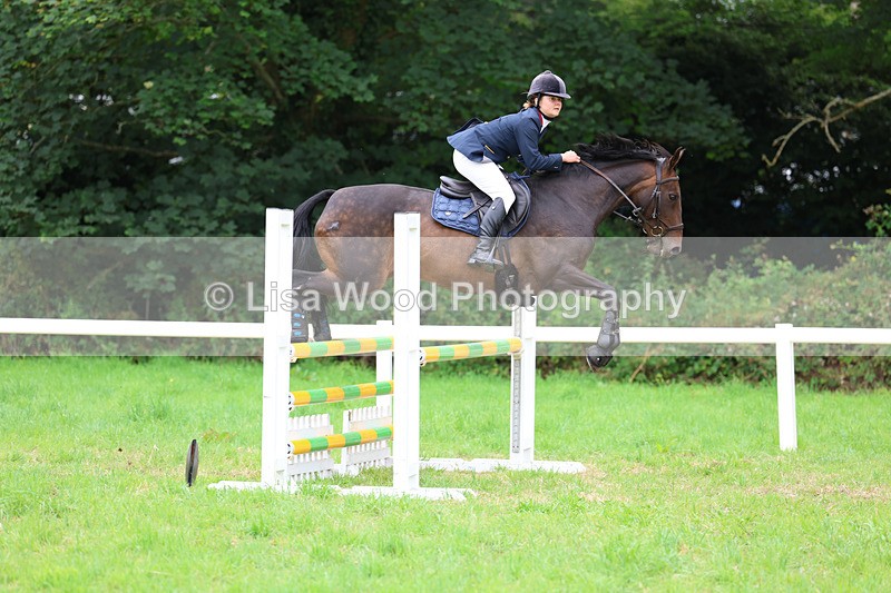 3E7A7187 - Class 5: Senior British Novice/90cm open