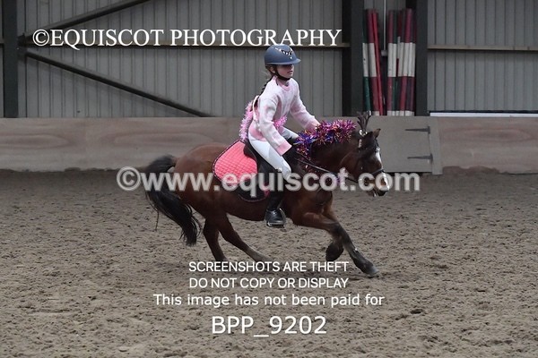BPP_9202 - CLASS 4 50CM Novice Show Jumping