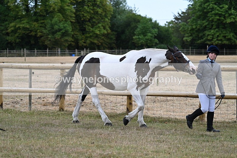 WJ7_8848 - Class 4a Prettiest Mare 14.2hh and over
