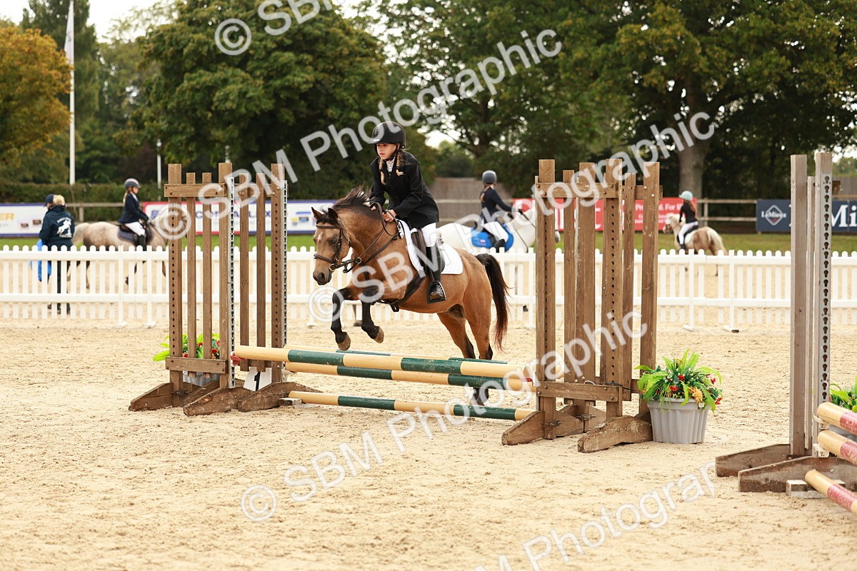 SBM_57822 - J11 - Junior Pony 50cm Championship