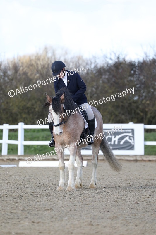 20260314-5019 - CT6 - Elementary 1