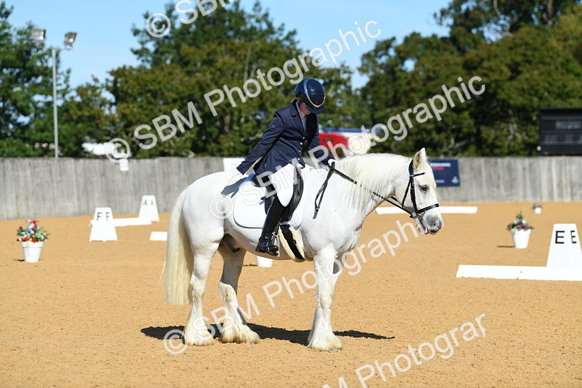 SBM_18120 - D4 - Small Tour Championship - Intro B
