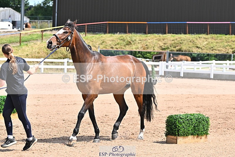 240718A-105256-01354 - Trot Up 12pm to 1pm