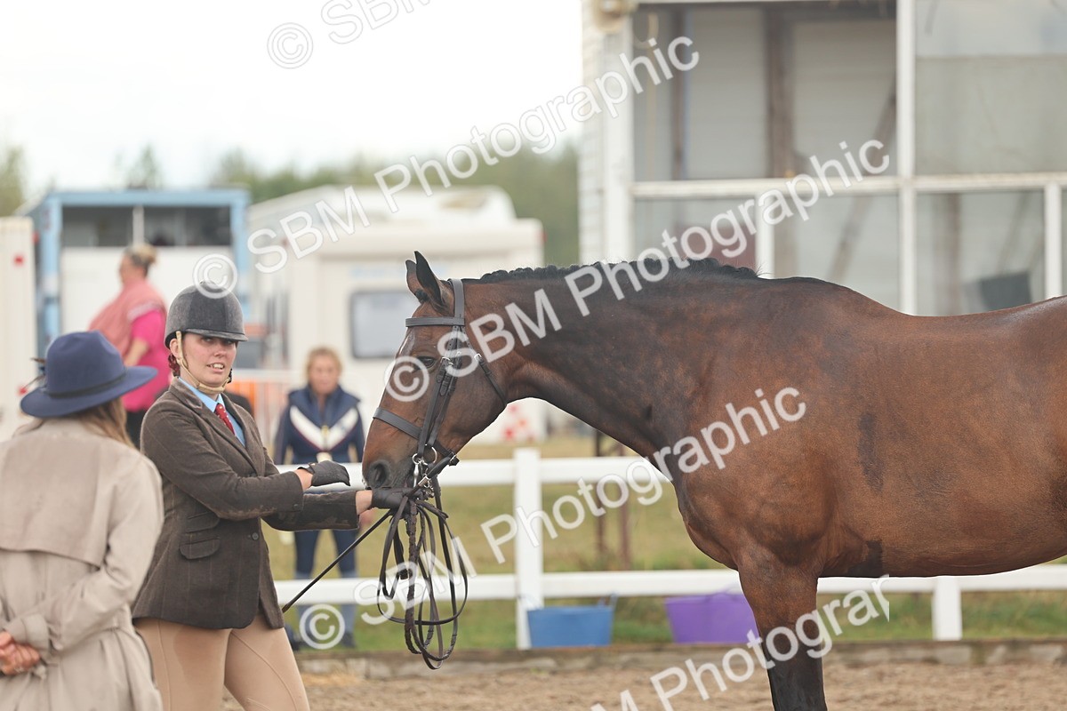 SBM_07883 - Class 28 - IH Veteran Horse