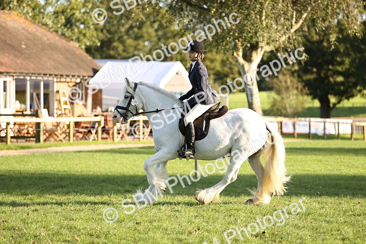 SBM_29580 - S7 - Novice & Newcomers Ridden Pony