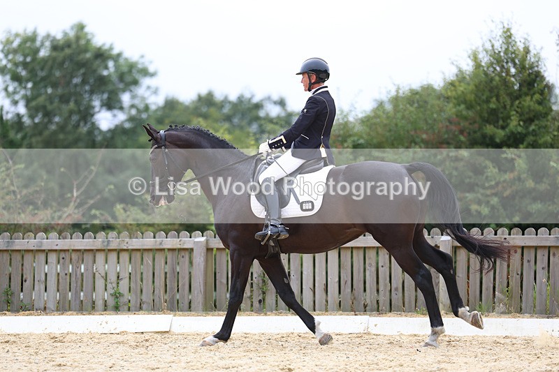 3E7A7276 - Class 9: Elementary 4 2024 - No sections