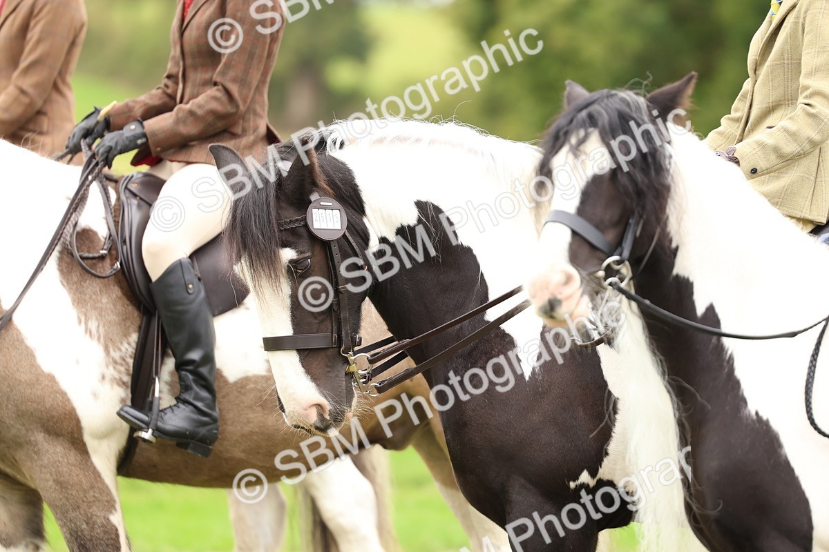 SBM_64641 - S58 - Coloured Pony Ridden