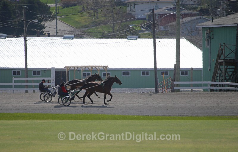 Exhibition Park Raceway Saint John New Brunswick Canada - Sport & Recreation