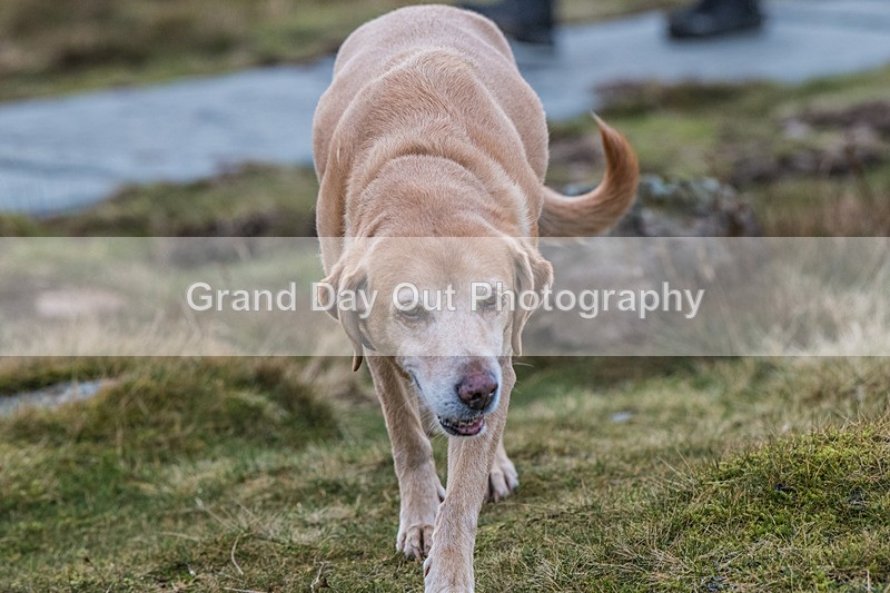 Nine Standards-8 - Nine Standards Fell Race Thursday 1st January 2026