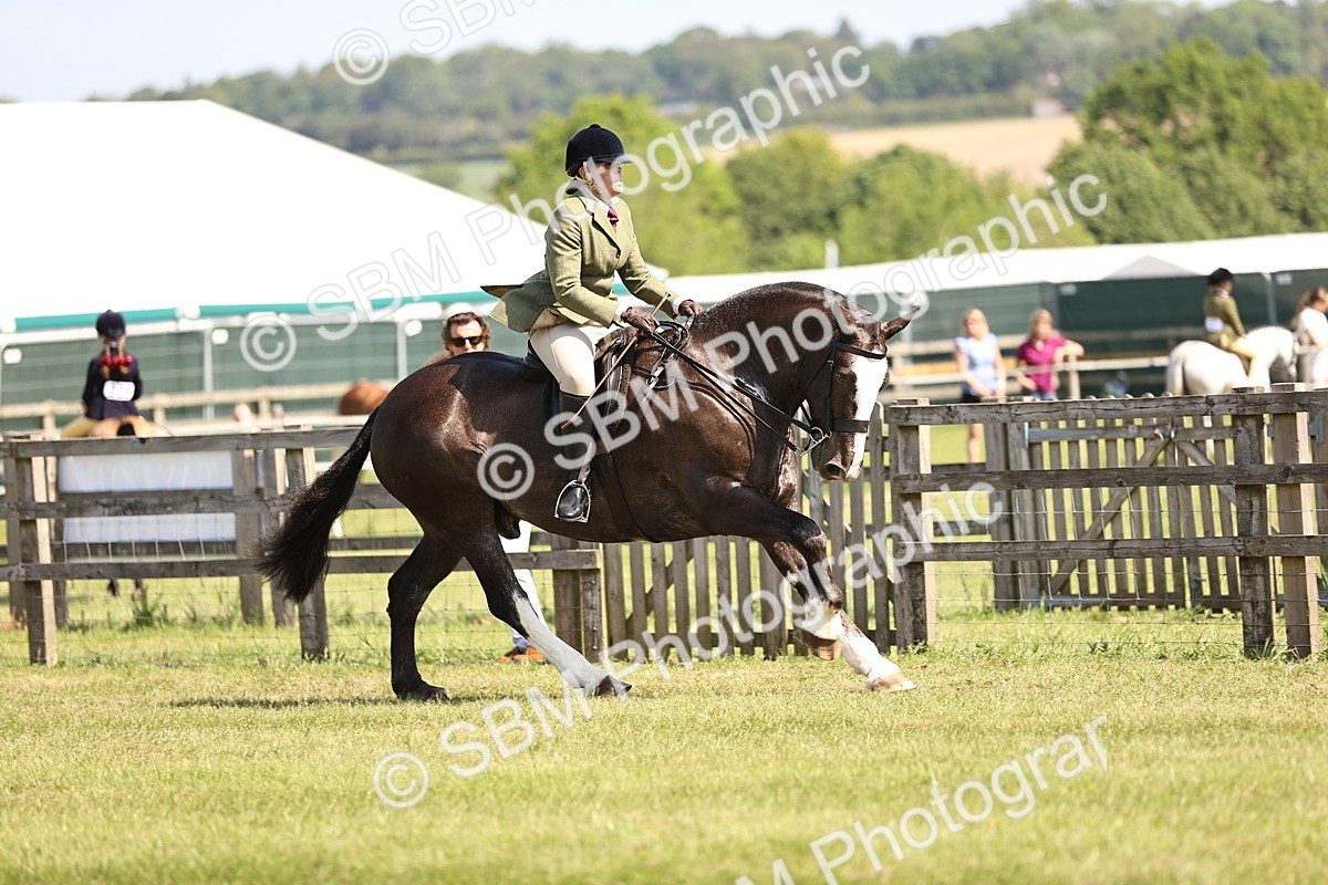 SBM_13783 - Class 77 - LIHS BSHA Rising Star Cobs