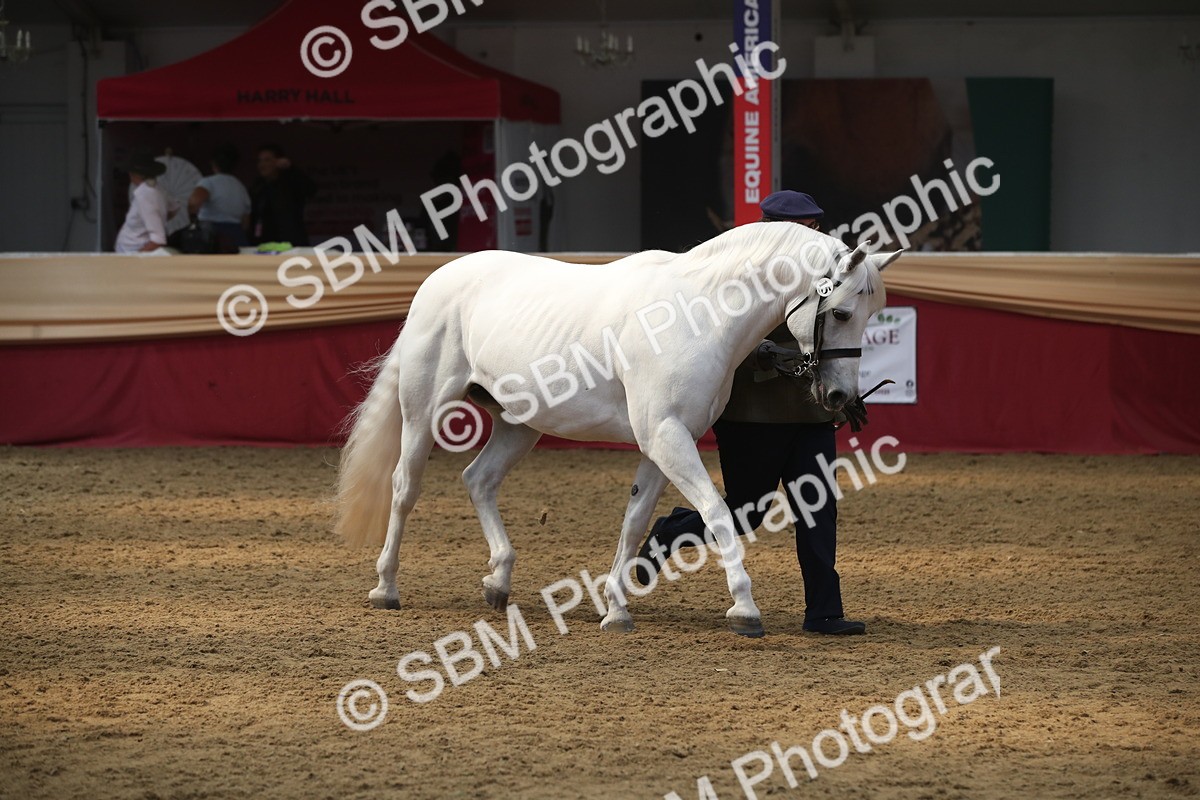 SBM_05619 - Class 9R - Regional IH Pre-Vet