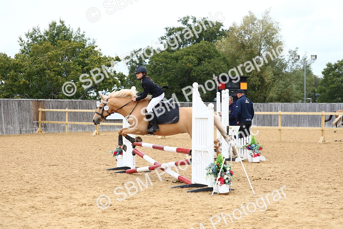 SBM_65115 - Supreme Championship 50cm 60cm 70cm