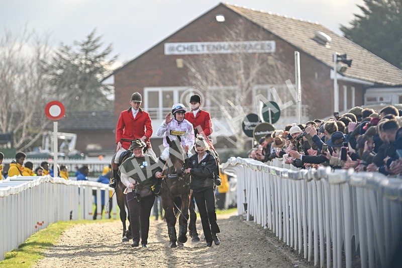 110325-Race 5-Golden Ace-3218 - 11th March