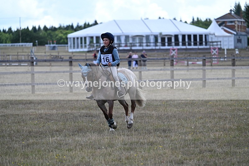 WJ7_0403 - 40cm Time 11:47 to 12:01