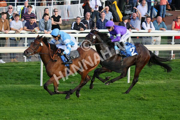 yr08102021r6-10 - Race 6 4.55pm Frank Whittle Partnership British EBF Restricted Novice Stakes