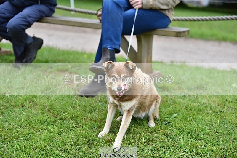 240523-193950-06609 - Candid and Saturday Hobby Horse