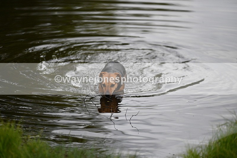 WJ5_5177 - Time 12:04 to 13:05