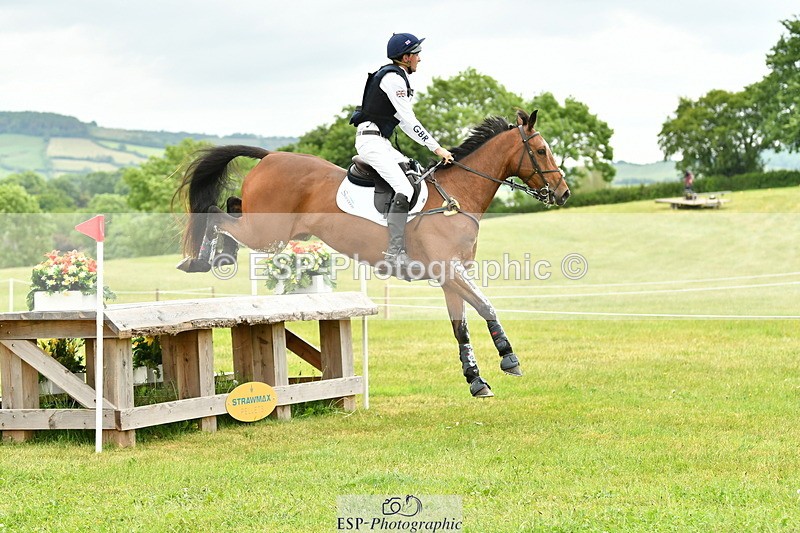 250524A-160748-14741 - C-258-Bill.Levett-ITALIAN.HARLEQUIN.NJ