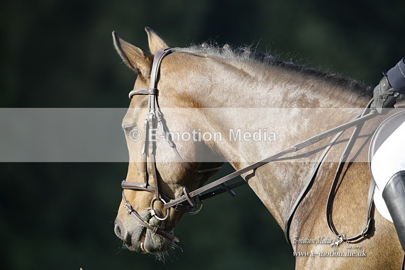 BVRC 120921 102 - Bourne Valley Riding Club UA Dressage & Show Jumping 12/09/21