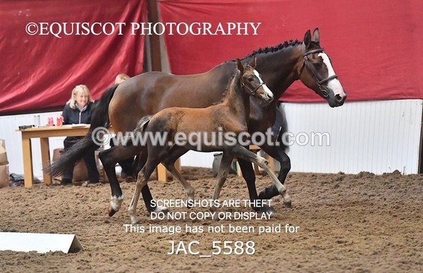 JAC_5588 - 13 Zi Real McCoy