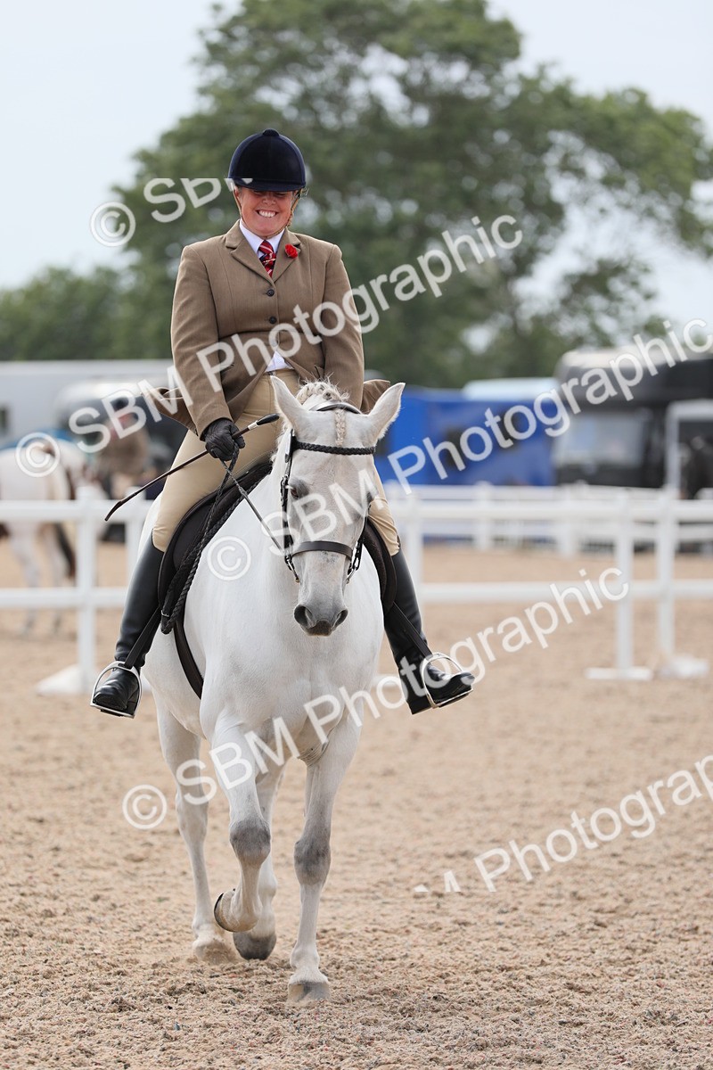 SBM_16999 - Class 314 Family Horse/Pony