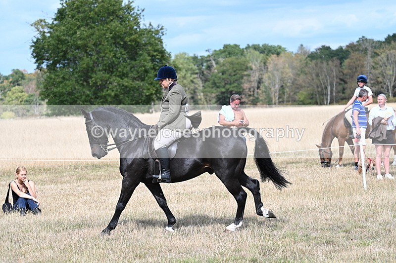 WJ7_6164 - Class 13 Ridden Veterans