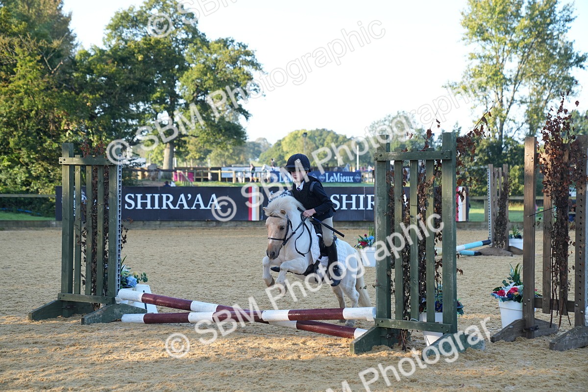 SBM_58903 - J63 - Minis Clear Round 30cm 40cm