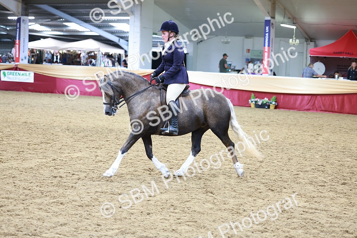 SBM_18632 - Class 952 - M&M Ridden Supreme Final