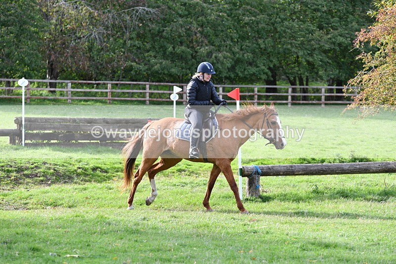 WJ5_1199 - Time 14:29 to 15:31